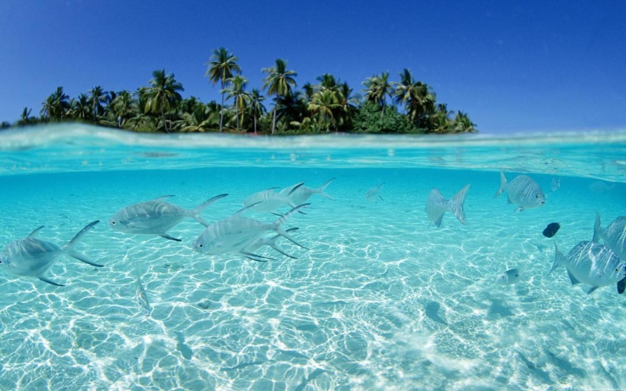 Beira Mar Maceió
